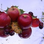 Herbstgeflüster