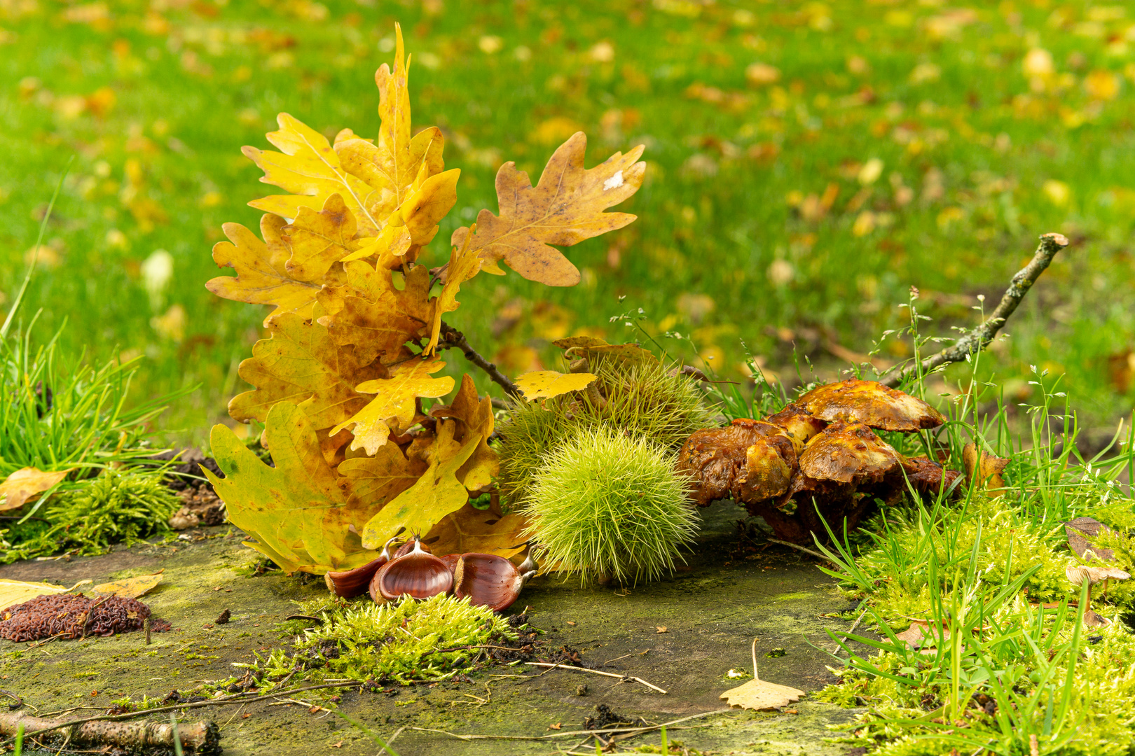 Herbstgeflüster