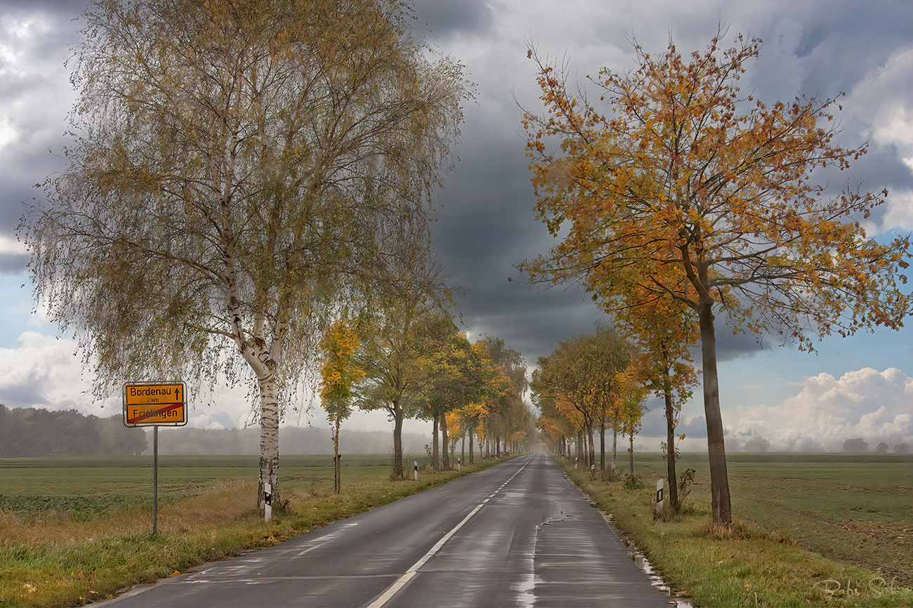 Herbstgeflüster