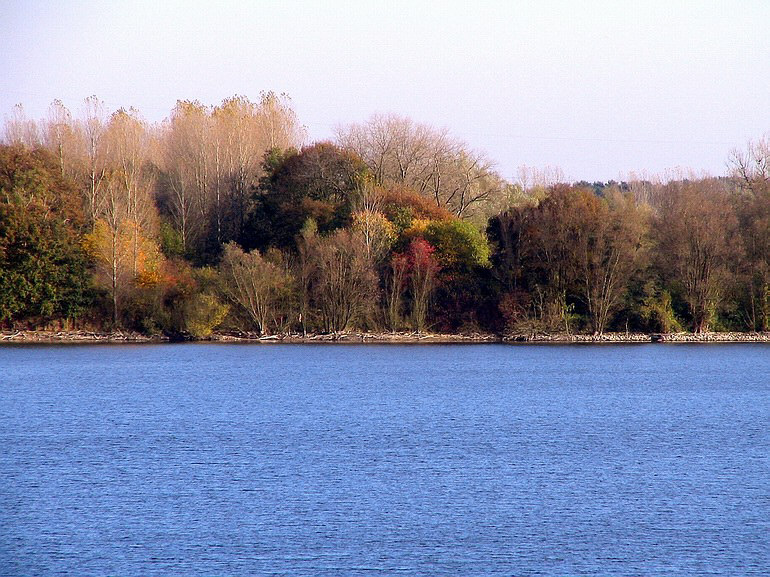 Herbstgeflüster