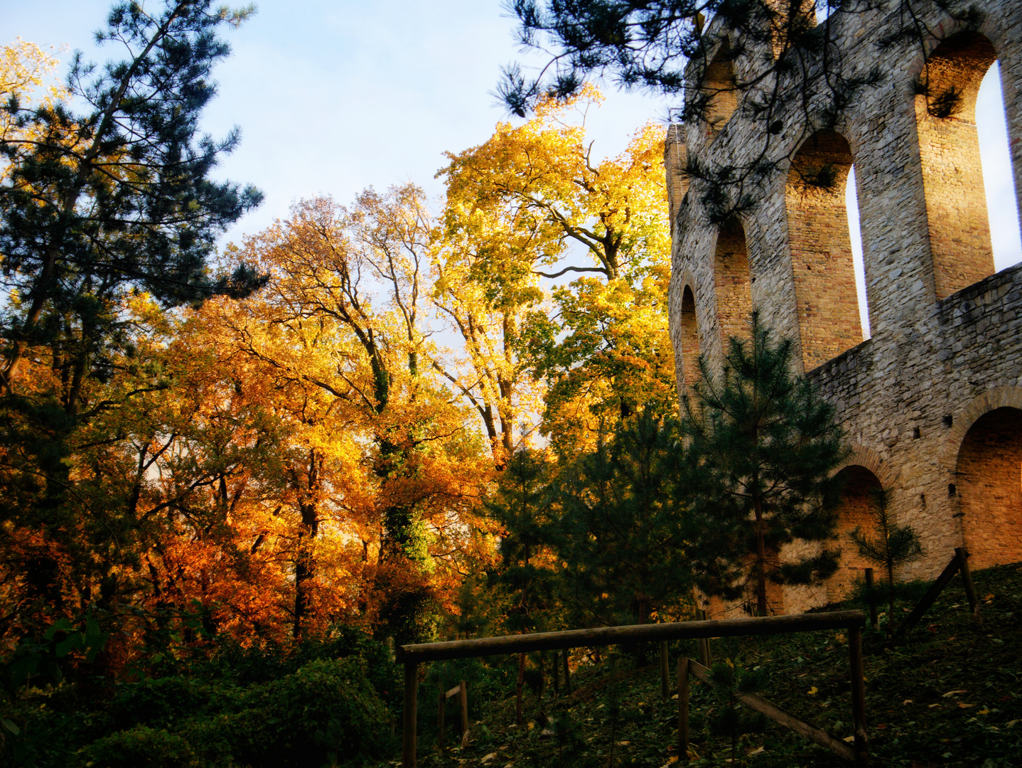 Herbstgeflüster