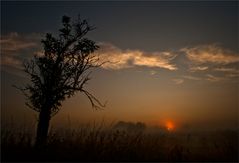 ~ herbstgeflüster ~