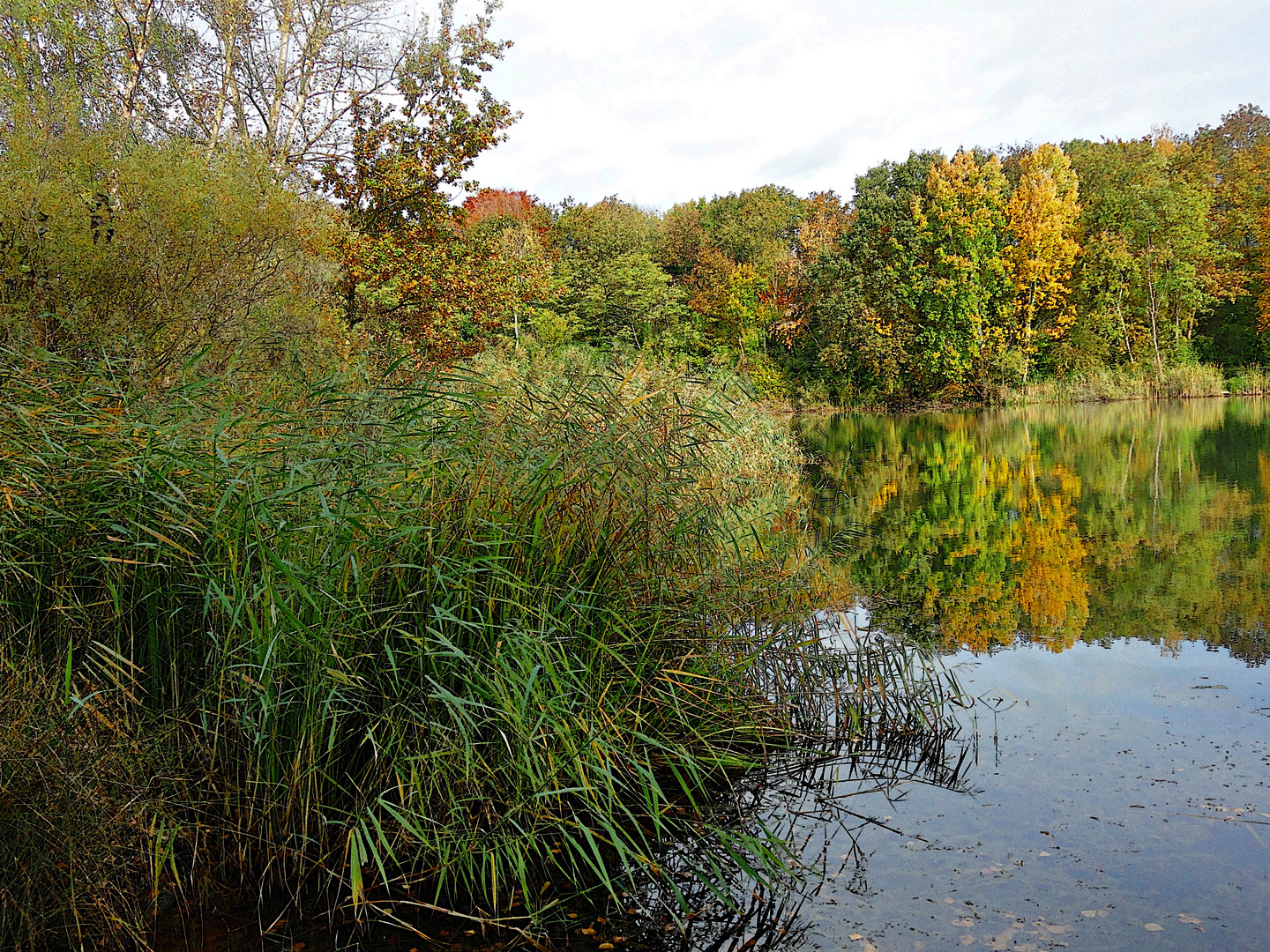 Herbstgefühl