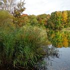 Herbstgefühl