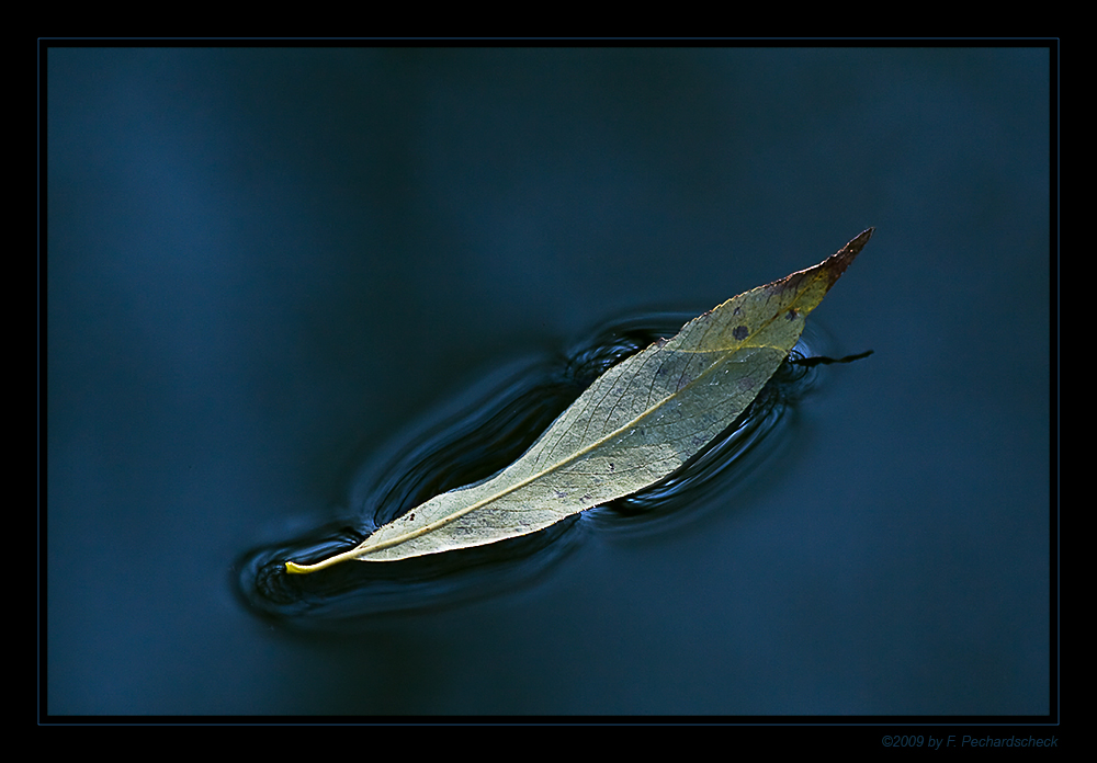 Herbstgefühl