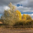 Herbstgefühl