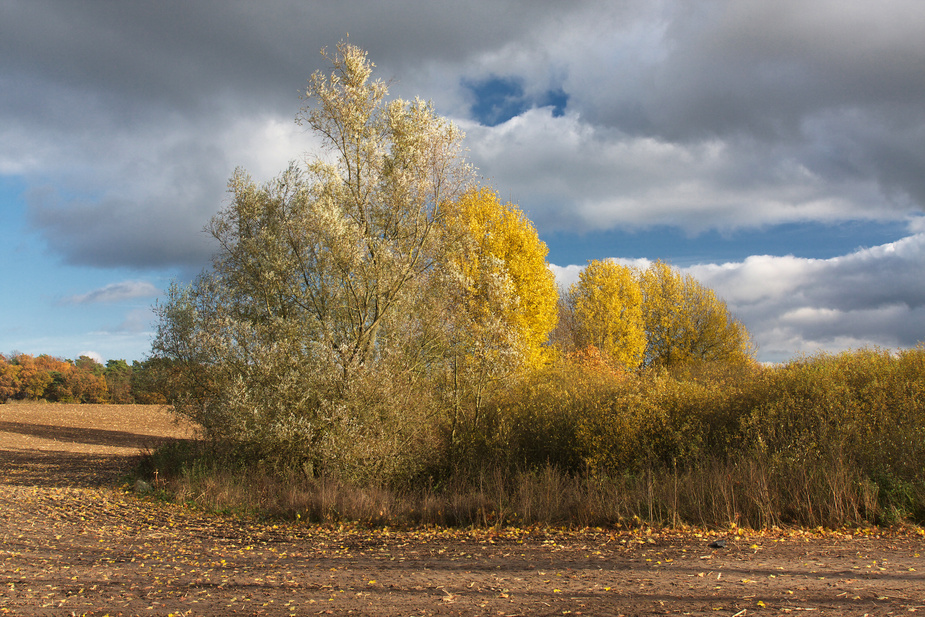 Herbstgefühl