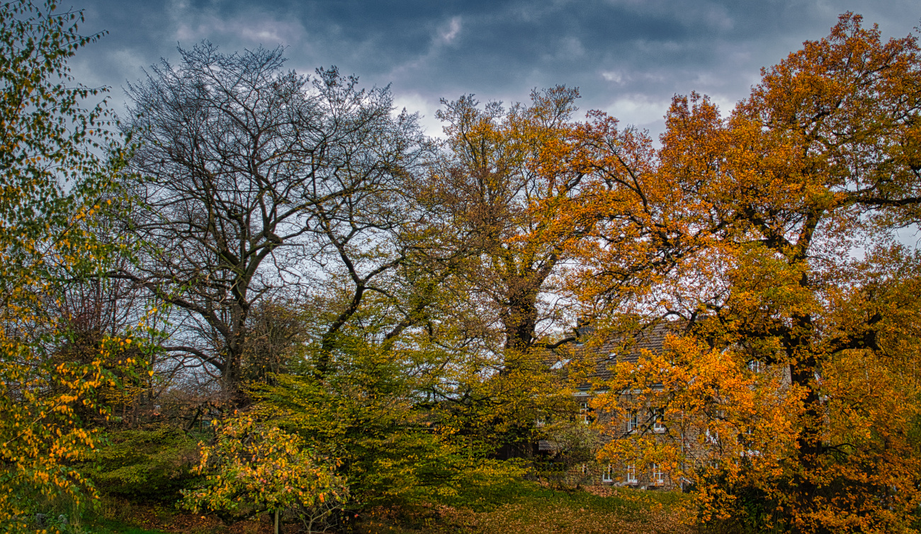 Herbstgefühl