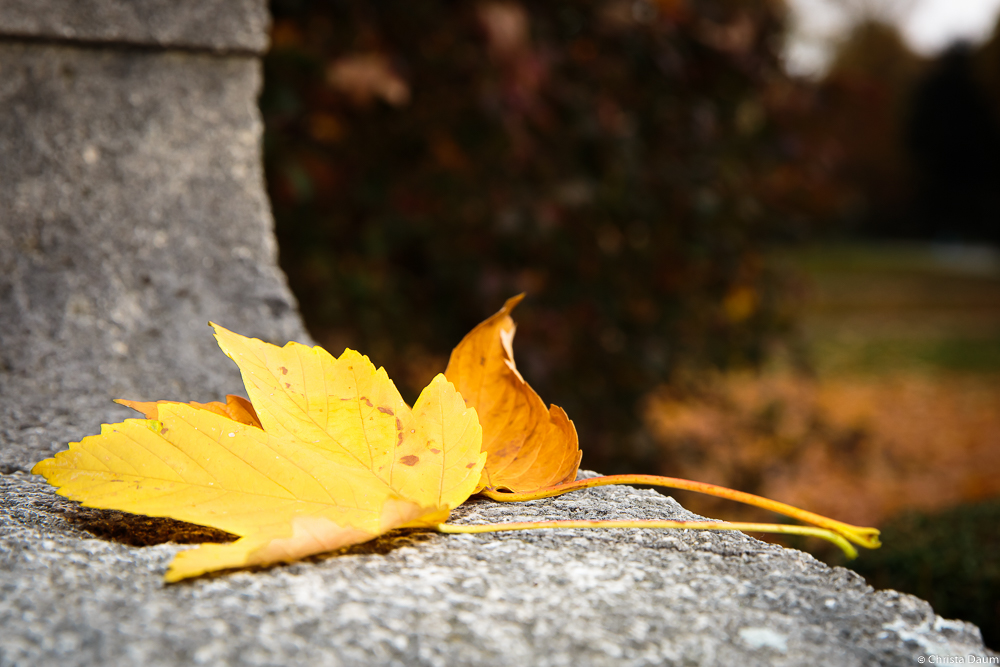 HerbstGefühl