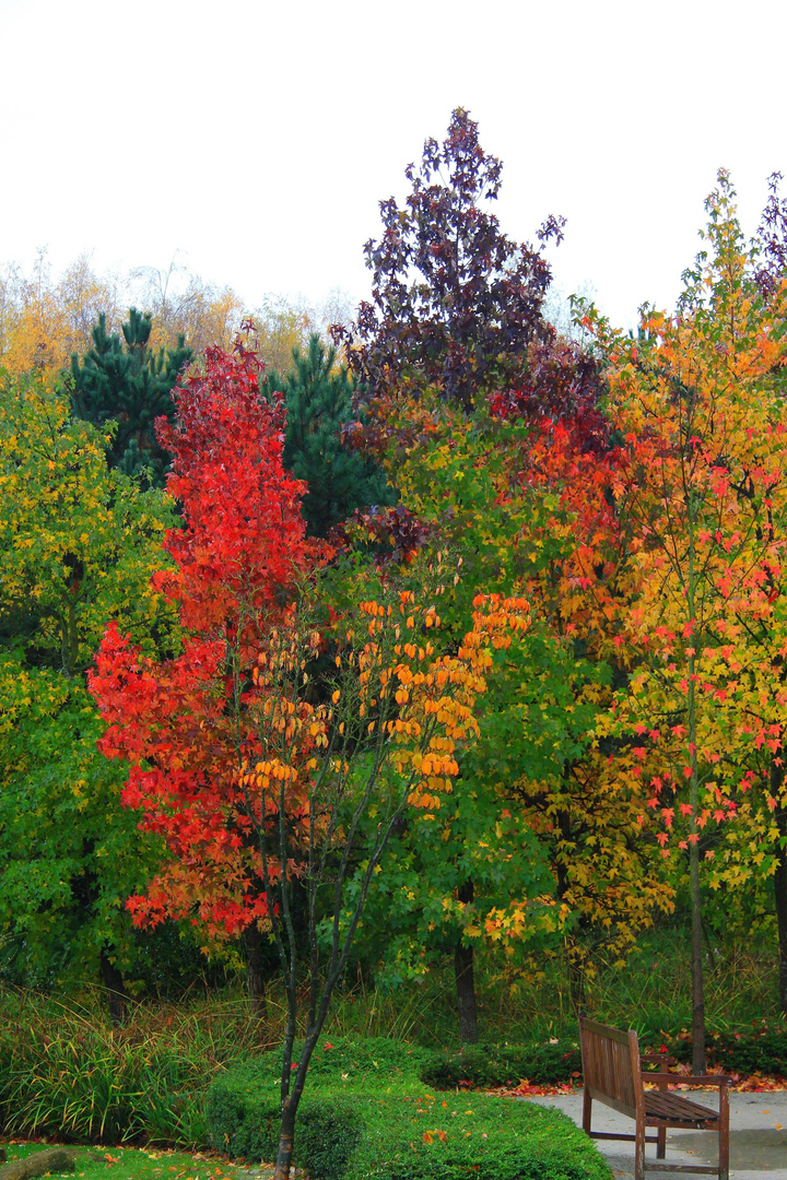 Herbstgefühl