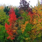 Herbstgefühl