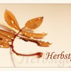 Herbstgefühle