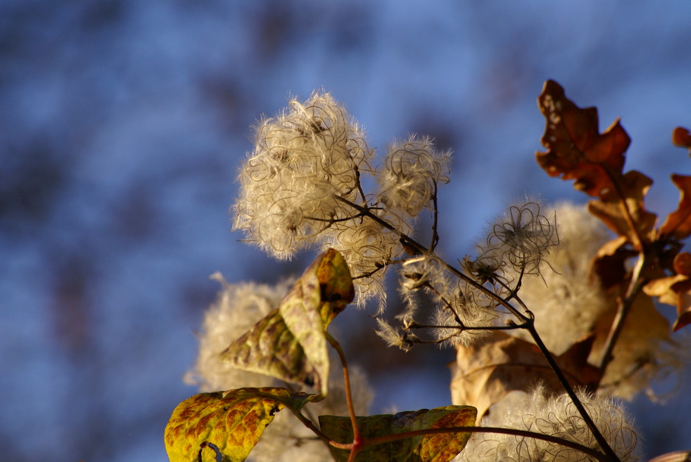 Herbstgefühle