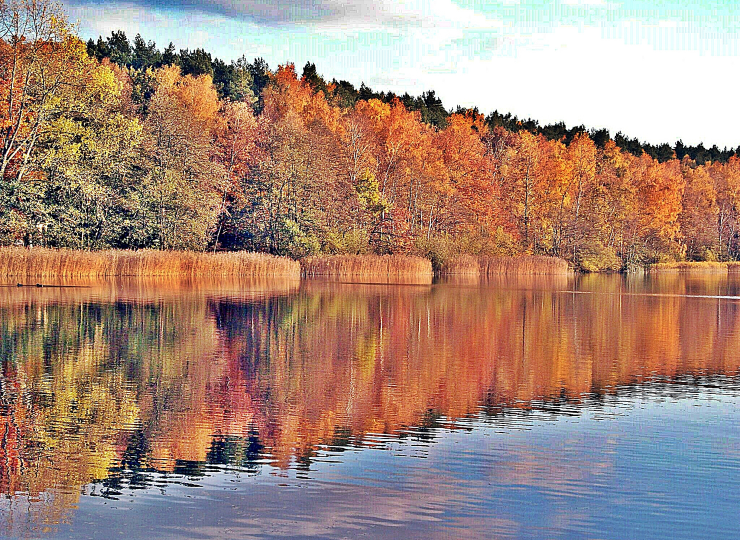 Herbstgefühle