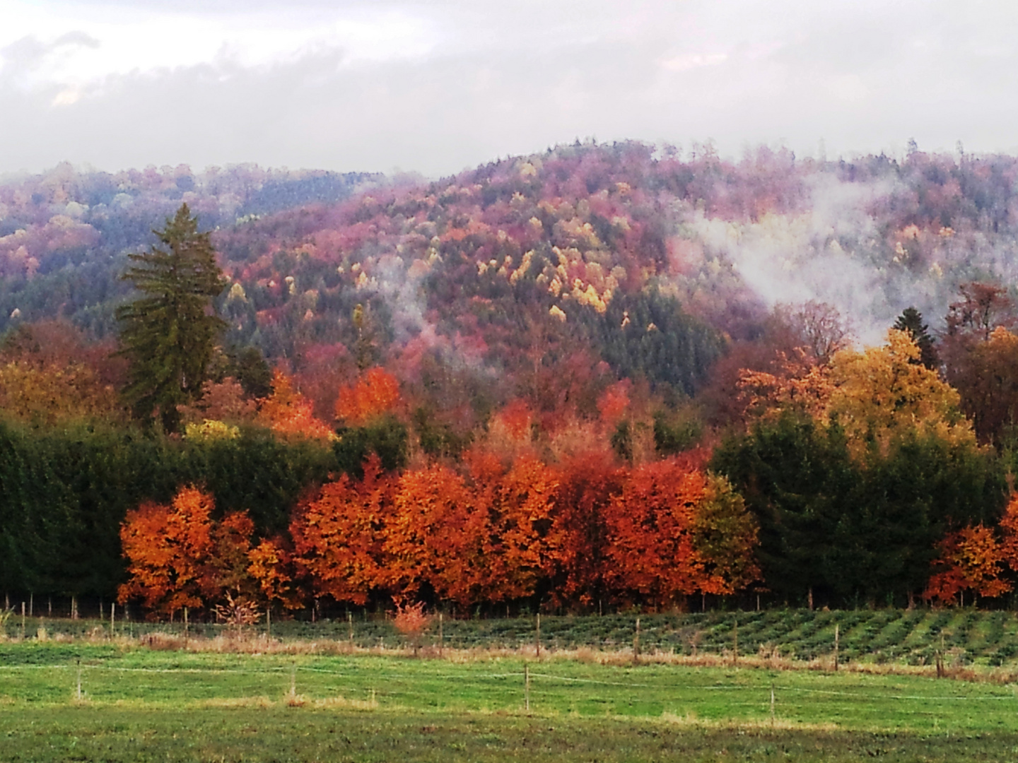 Herbstgefühle