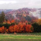 Herbstgefühle