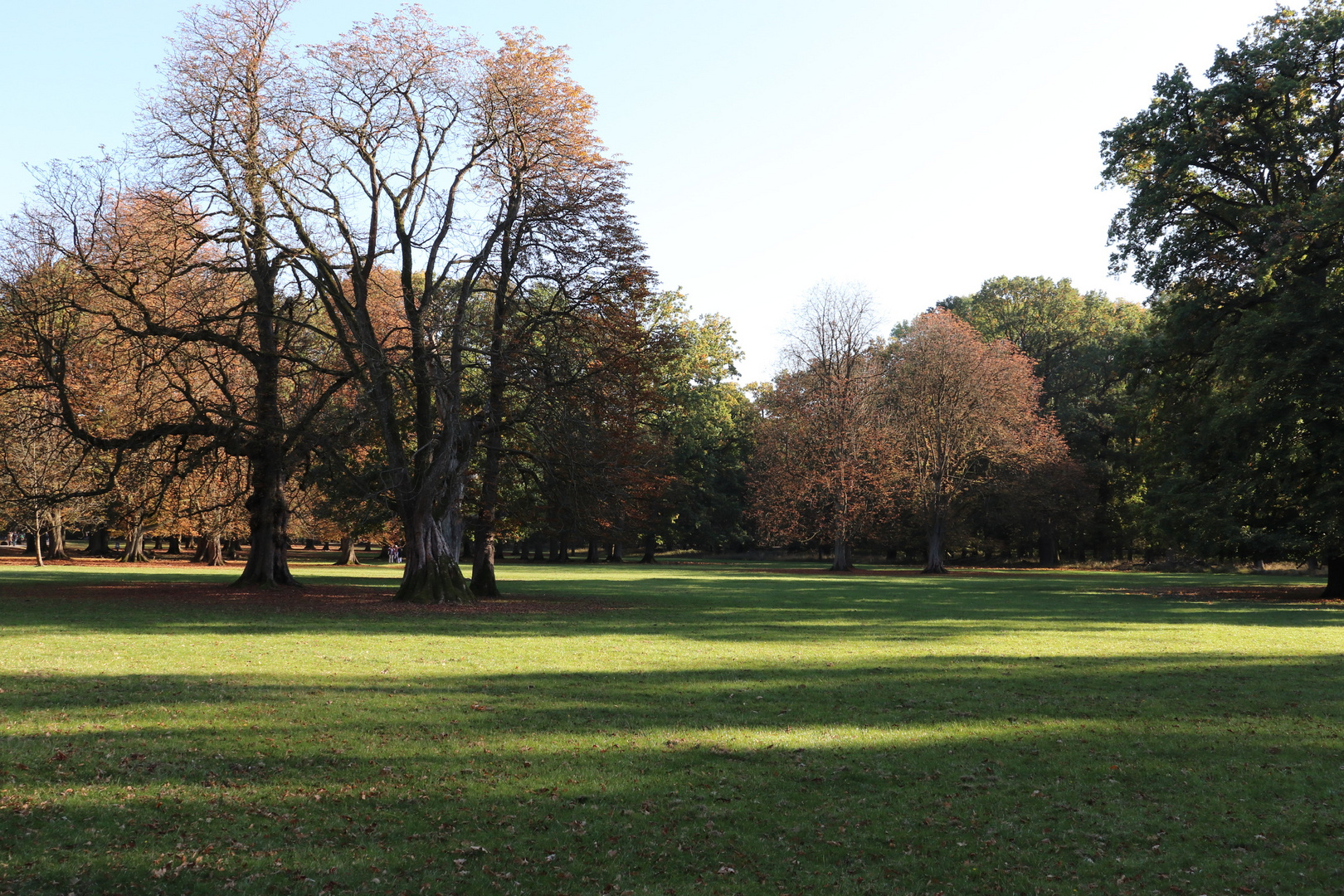 Herbstgefühle