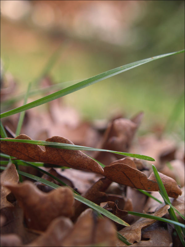 Herbstgefühle