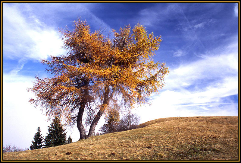 Herbstgefühle