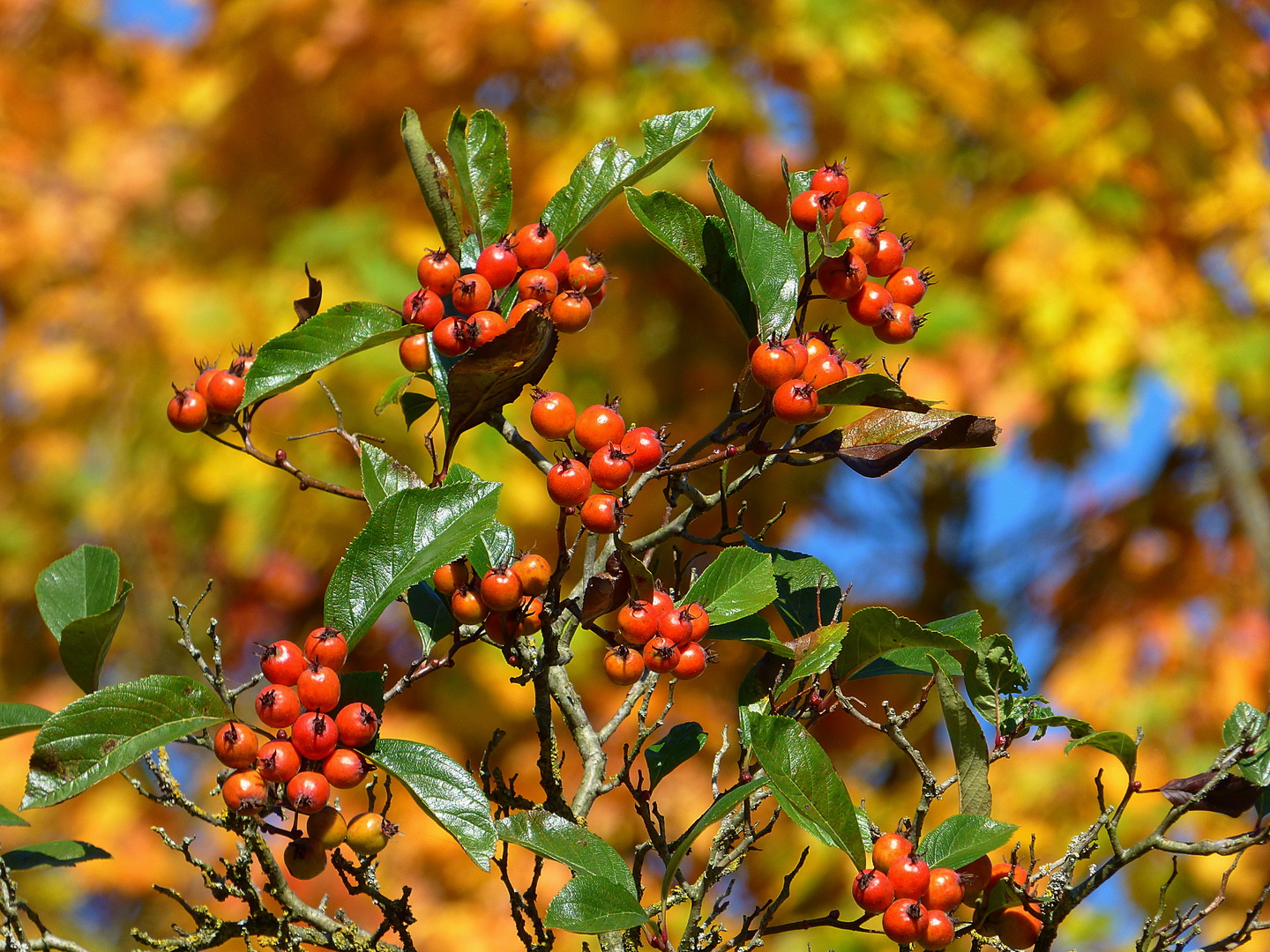 Herbstgefühle