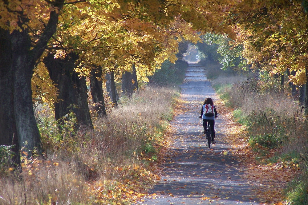 herbstgefühle