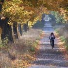 herbstgefühle