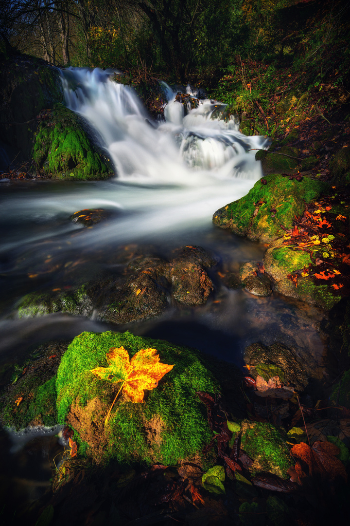 Herbstgefühle in der fränkischen Schweiz