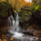 Herbstgefühle in der Verenaschlucht