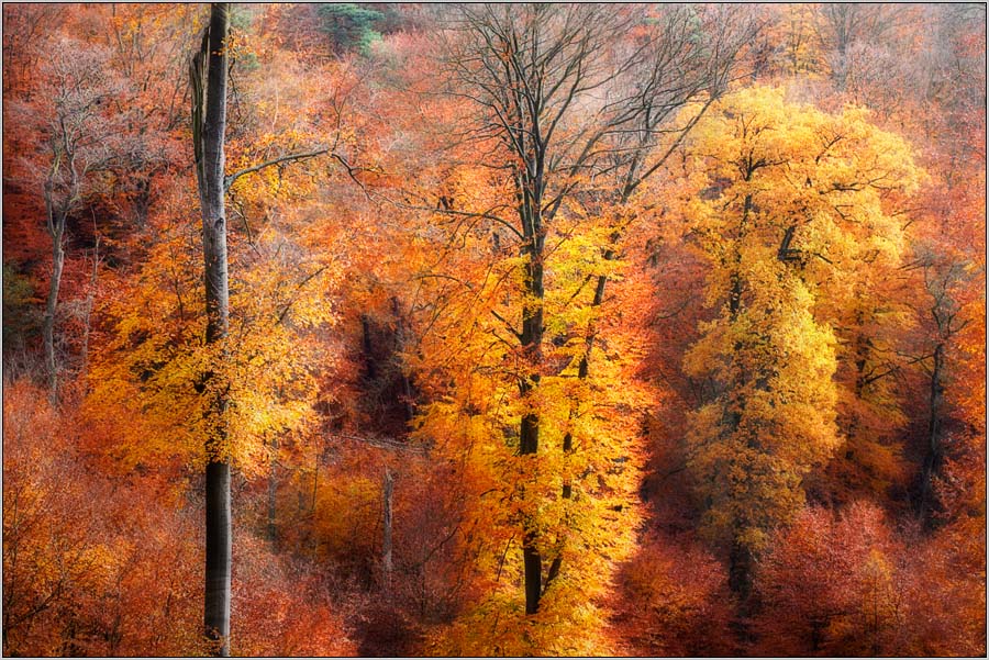 Herbstgeist