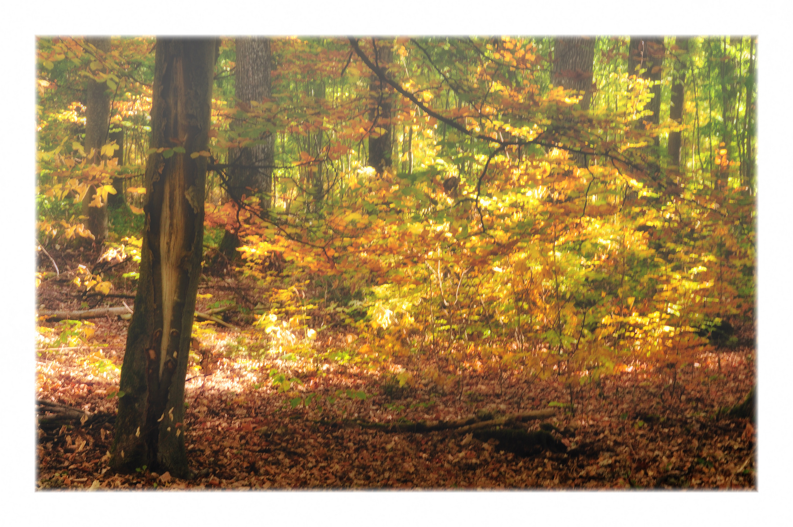 herbstgemälde