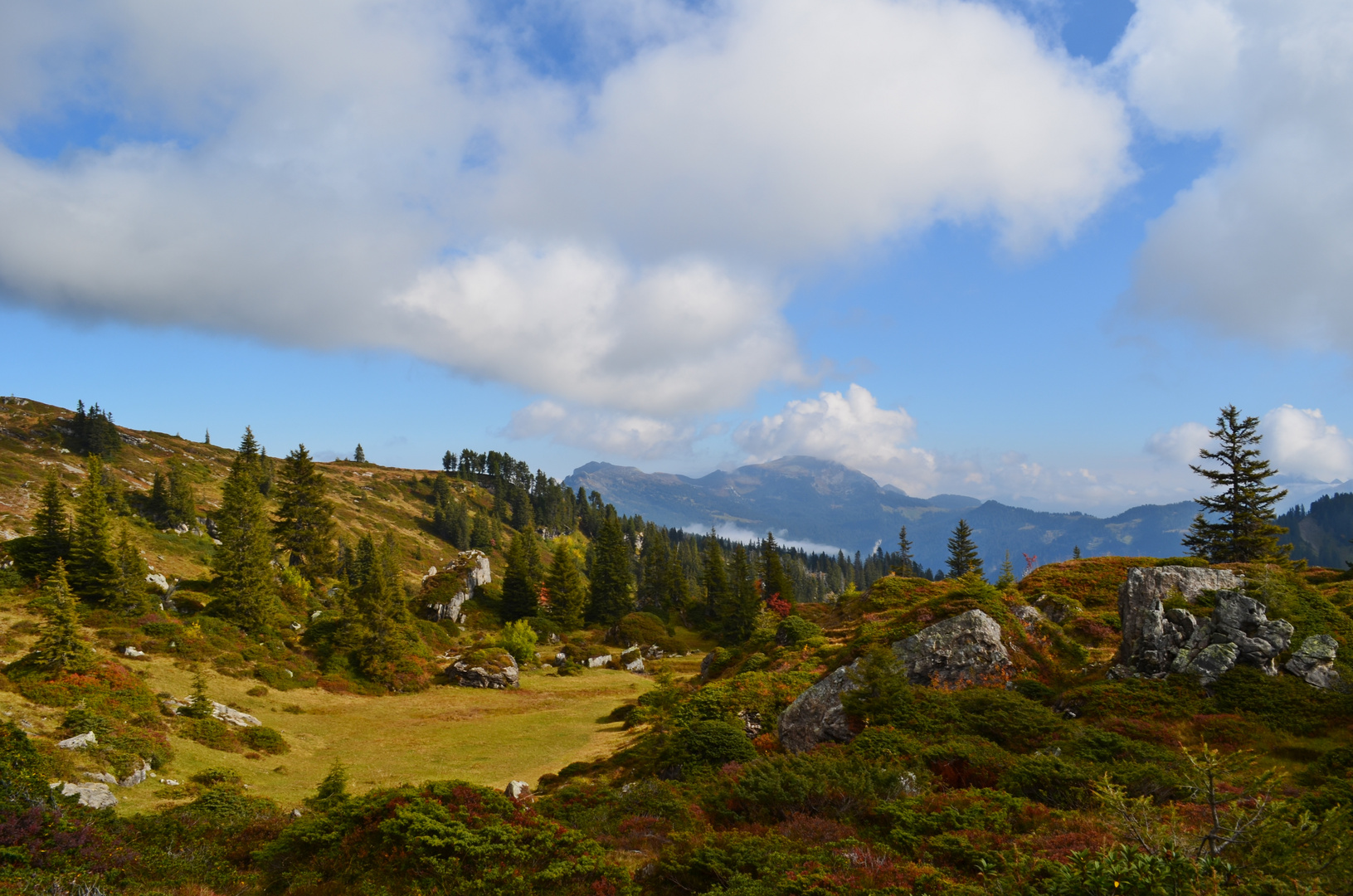 Herbstgemälde