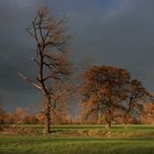 Herbstgemälde