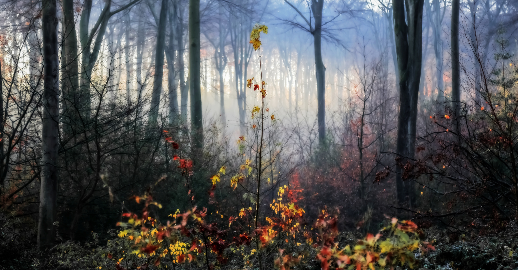 Herbstgemälde