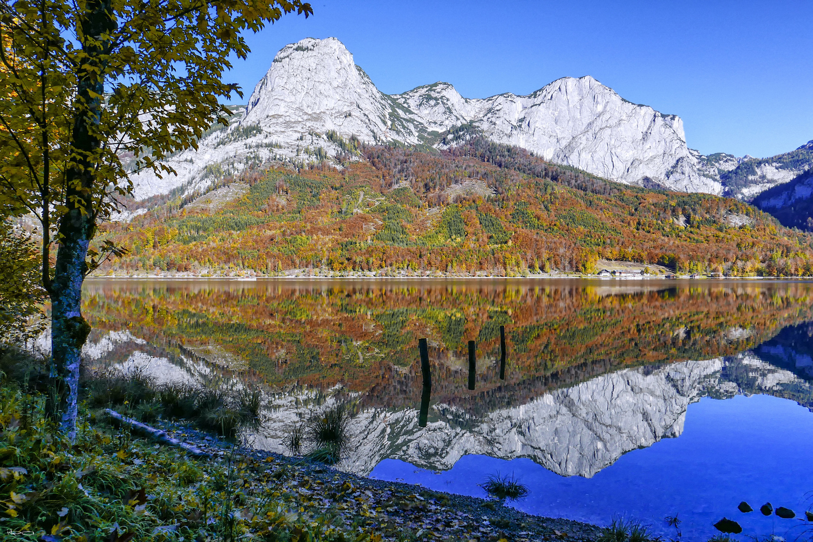 Herbstgemälde