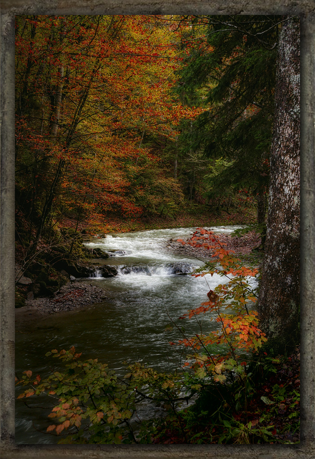 Herbstgemälde