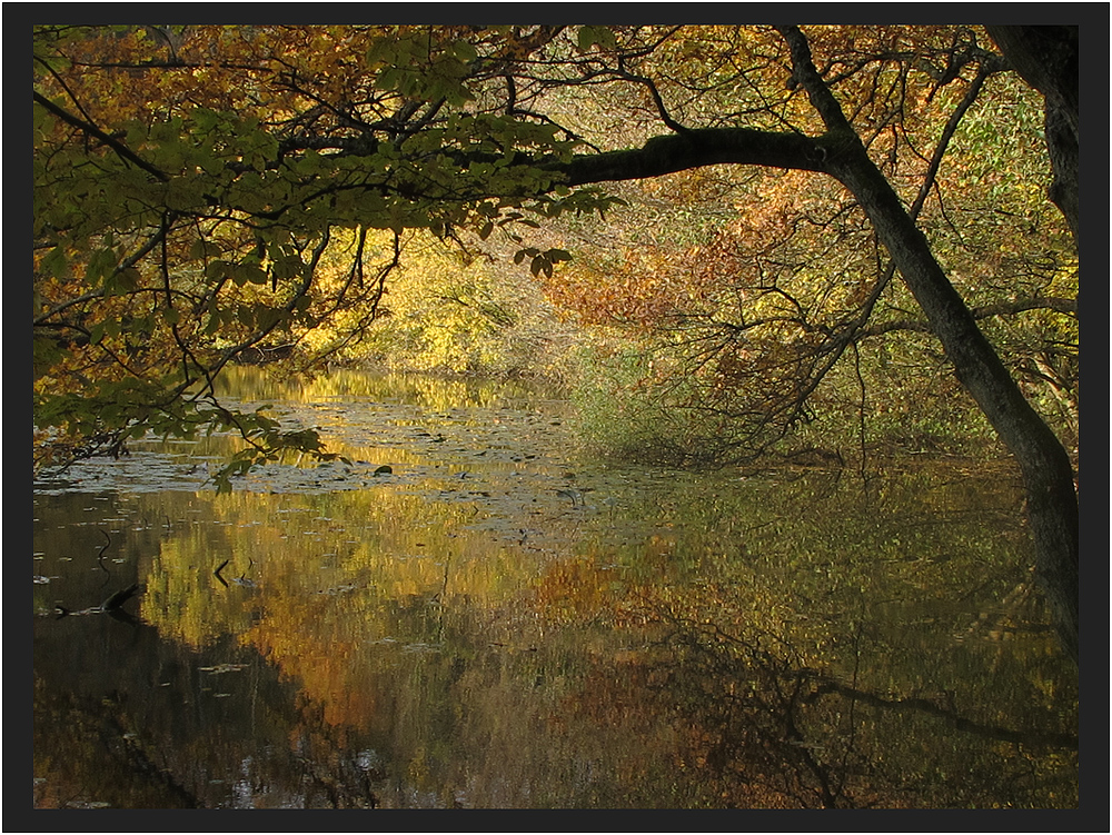 Herbstgemälde