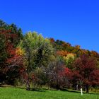  Herbstgemälde 