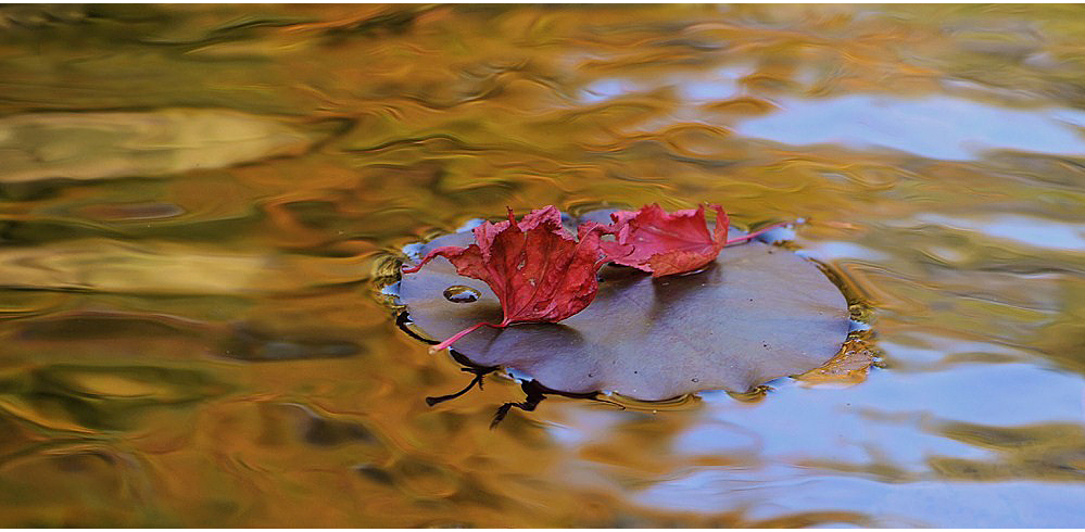 Herbstgemälde II