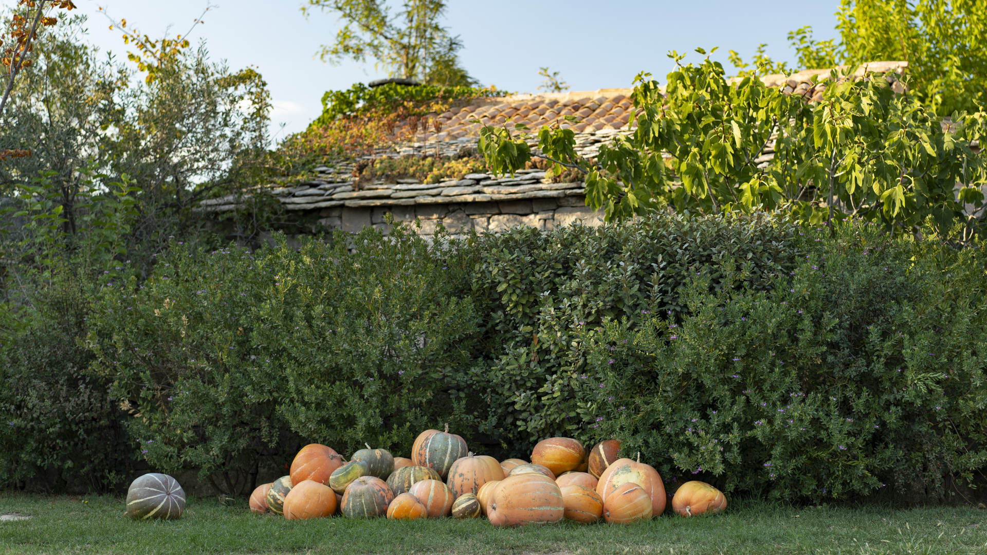 Herbstgemüse