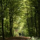 Herbstgeniesser