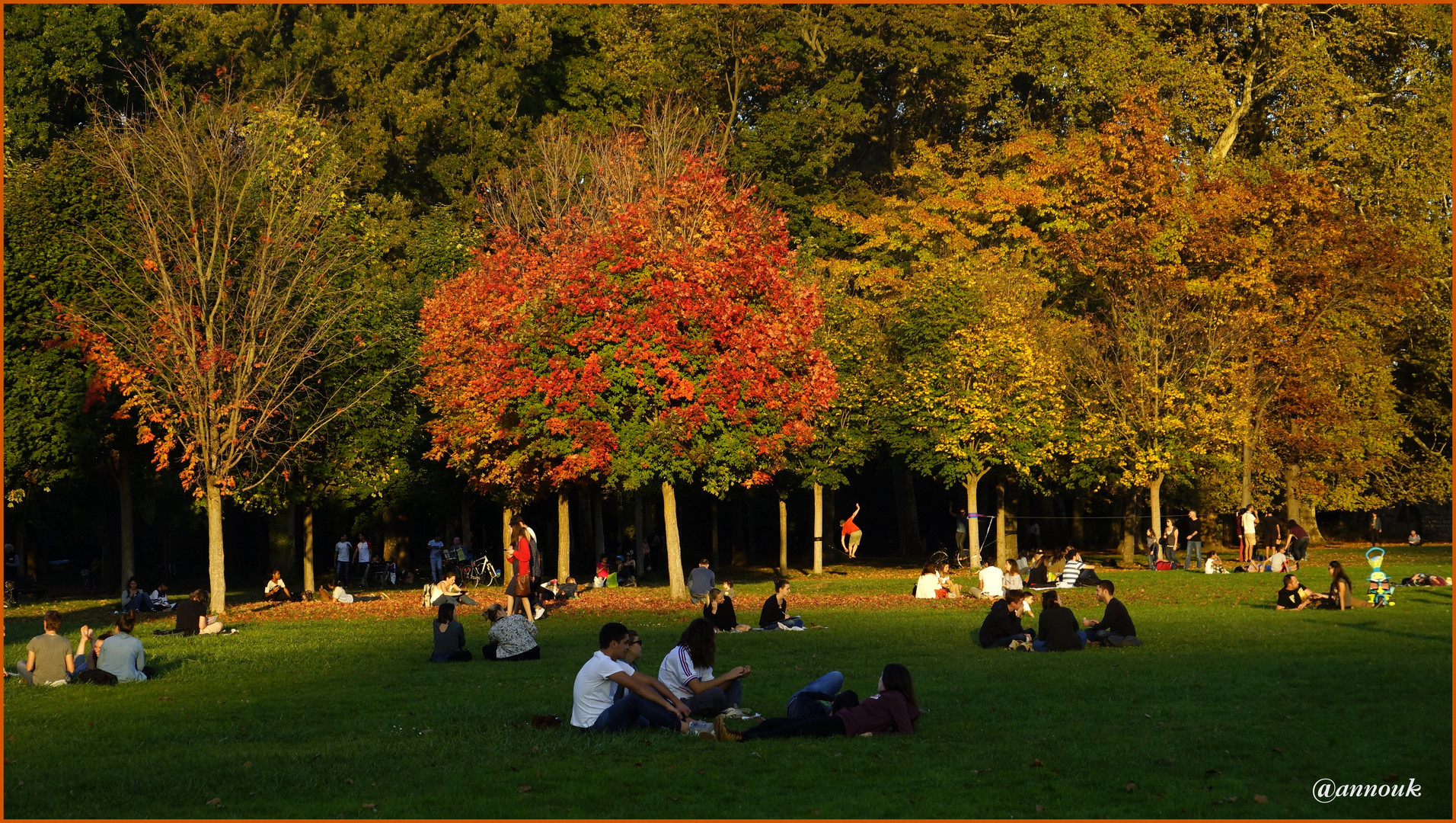 Herbstgenuss -  Joie d''automne