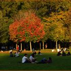 Herbstgenuss -  Joie d''automne