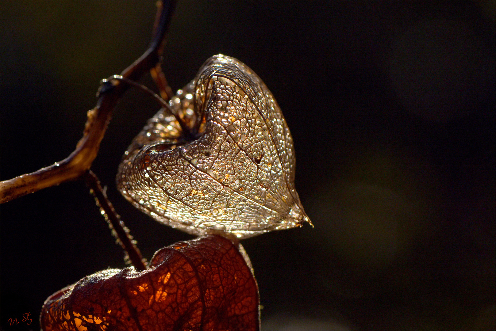 Herbstgeschenk