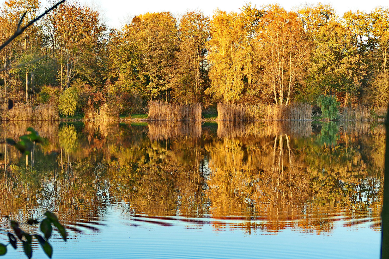 Herbstgeschenk