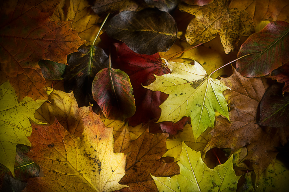 HerbstGeschichten