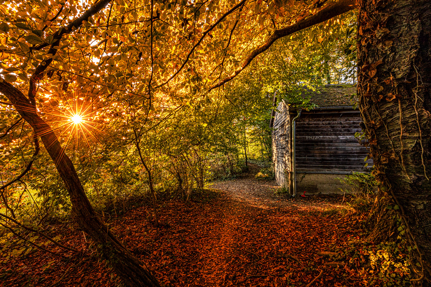 herbstgeschichten