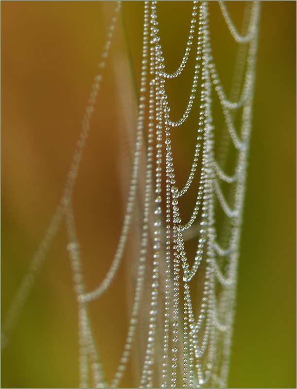 Herbstgeschmeide