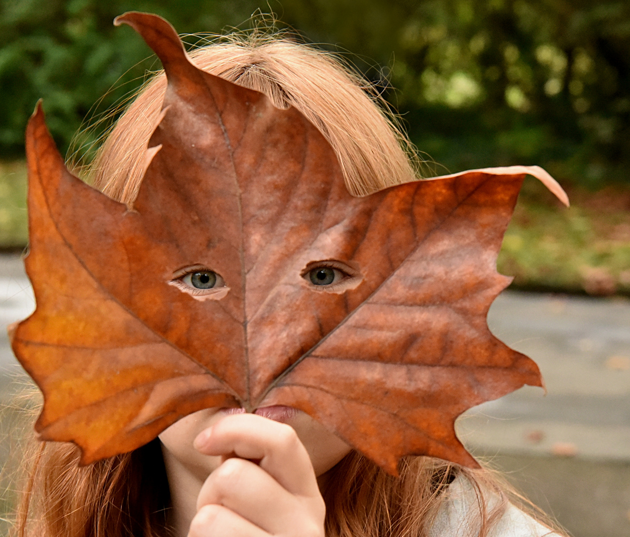 Herbstgesicht