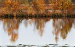 Herbstgespiegelt