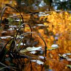 Herbstgewässer